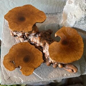 Wood Root Stand Sculpture Display 3 Tier Unique Natural Decor Accent